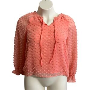 Cupio Sheer Coral Blouse